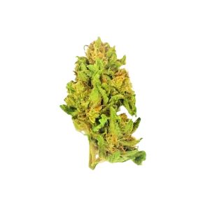 SWEET CRITICAL