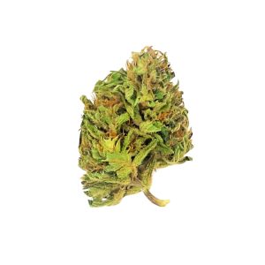 PINK POISON
